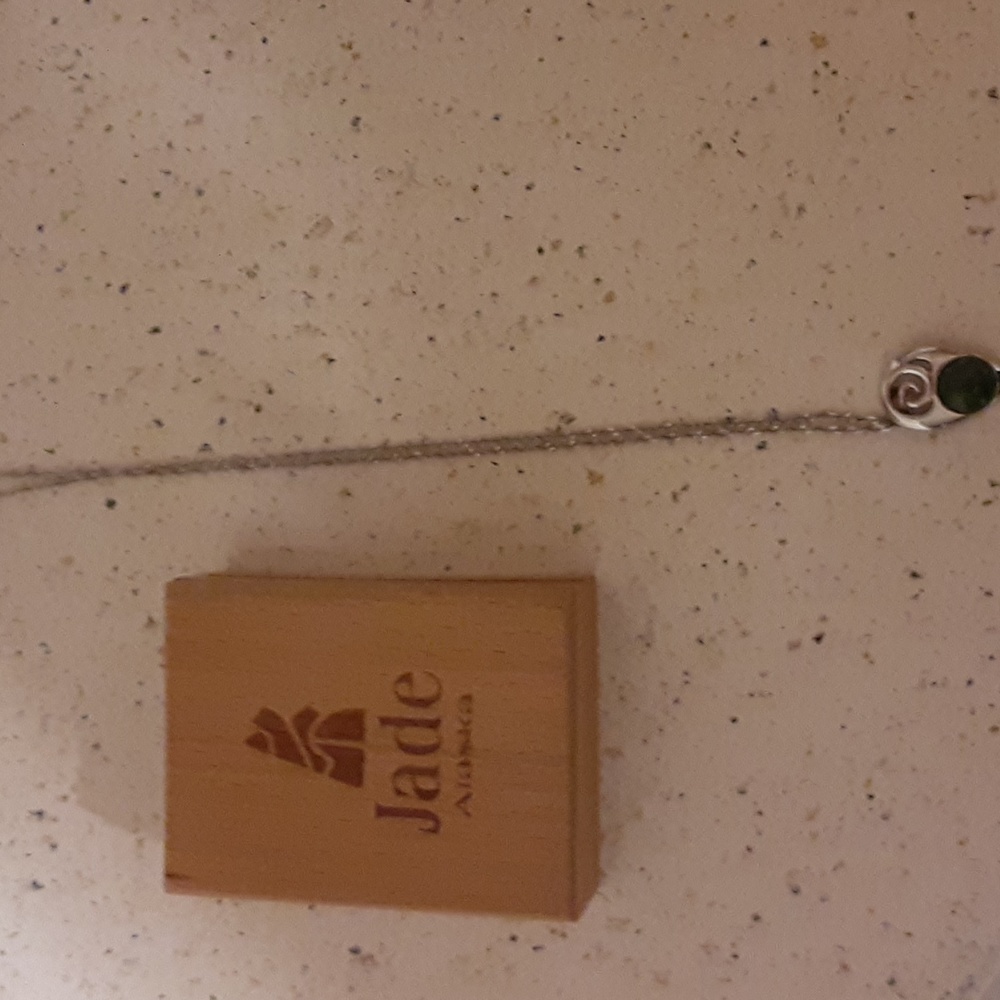 Silver Alaskan jade pendant with 18" chain.